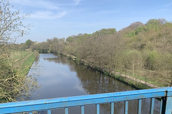 River weaver